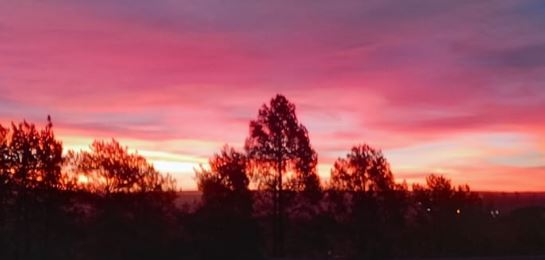 Why is the sky blue and the sunset red? | Gallagher Combined School